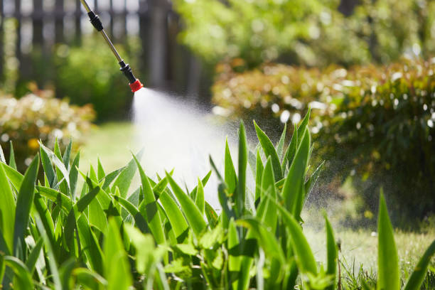 24/7 Emergency Mosquito Control experts in Pine, AZ